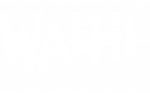 Wahana Lingkungan Hidup Indonesia (WALHI) Sulawesi Selatan